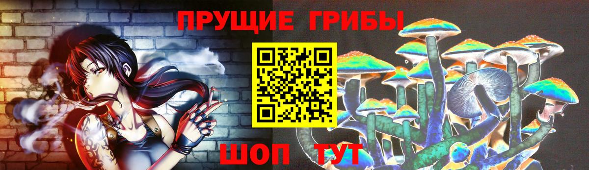 Волжский  Галлюциногенные грибы Psilocybine cubensis  Вход с VPN 
