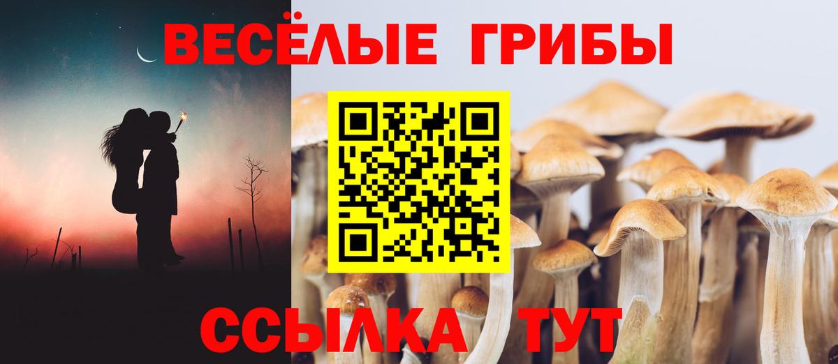 Галлюциногенные грибы MAGIC MUSHROOMS Волжский